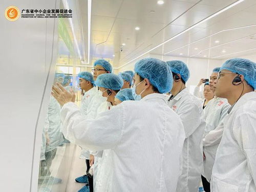 會(huì)員服務(wù) 直擊世界一流的透明工廠，簡(jiǎn)直大開眼界